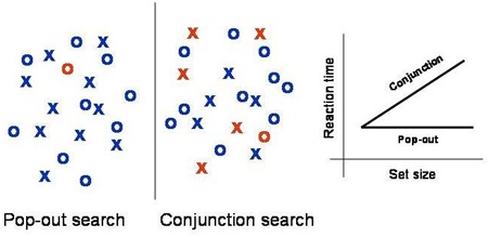 1787_Visual Search.jpg